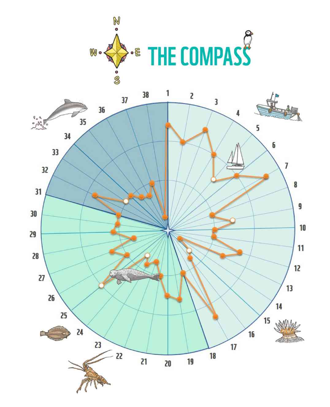 The Compass card diagram
